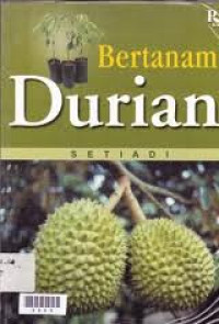 Bertanam Durian