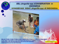 International Symposium Management, Conservation, and Trade of Anguill Bicolor Eel in Indonesia