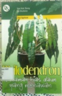Philodendron: Tanaman Hias Daun yang Menawan