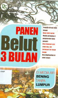 Panen Belut 3 bulan