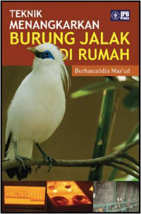 Teknik Menangkarkan Burung Jalak di Rumah